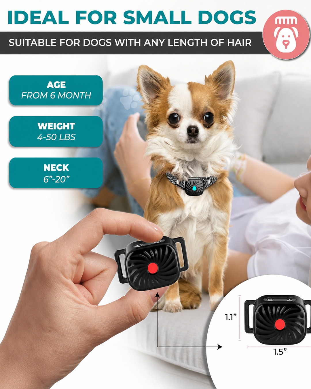 Halsband für kleine Hunde mit Ton und Vibration