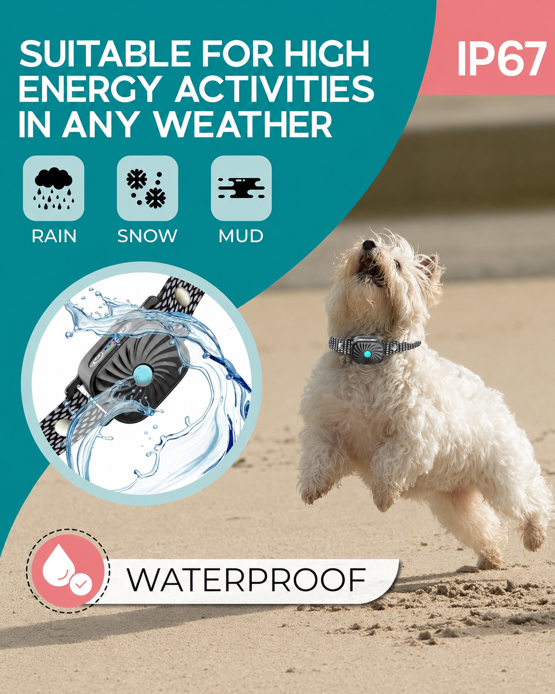 Halsband für kleine Hunde mit Ton und Vibration