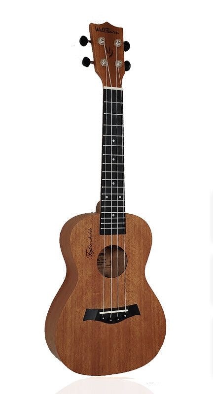 Ukulele Kaufen Für Damen und Herren Kompakt Mit Stimmgerät 5